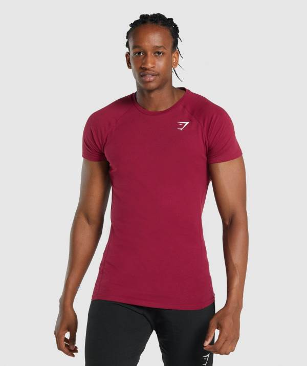 Panske Tricka Gymshark Critical 2.0 Bordove | ZY7659421